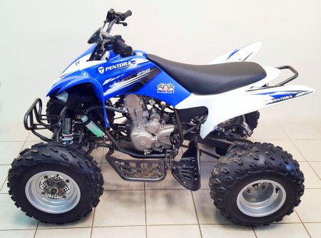  Motoland ATV 250S   
