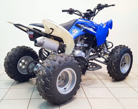  Motoland ATV 250S   